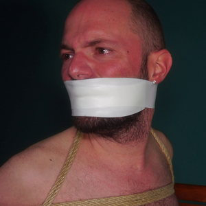 Avatar of the user