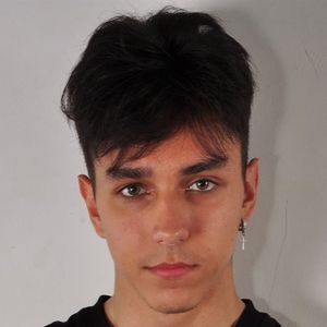 Avatar of the user